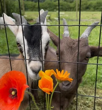 Maison Proche Omaha Vue Imprenable Sur Haras Etreham