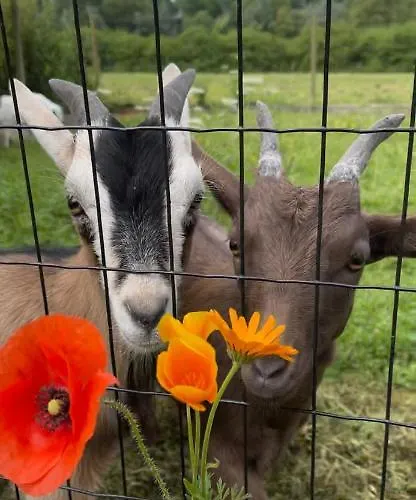 Maison Proche Omaha Vue Imprenable Sur Haras Etreham