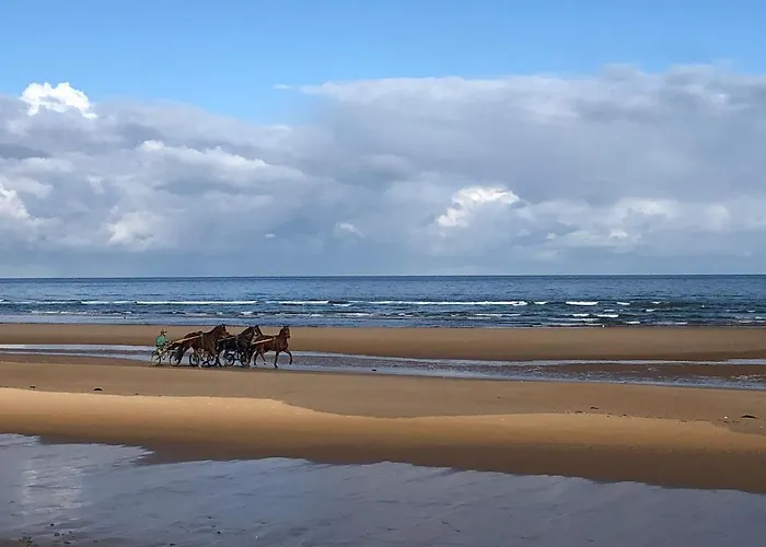 Maison Proche Omaha Vue Imprenable Sur Haras *